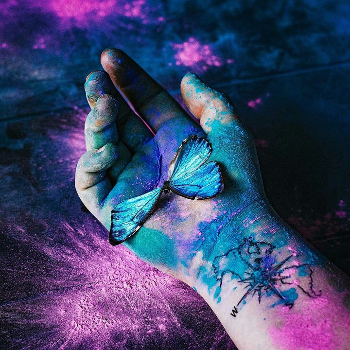 DAMAGED BUTTERFLY