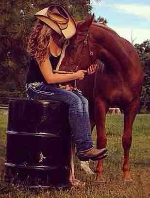 horse