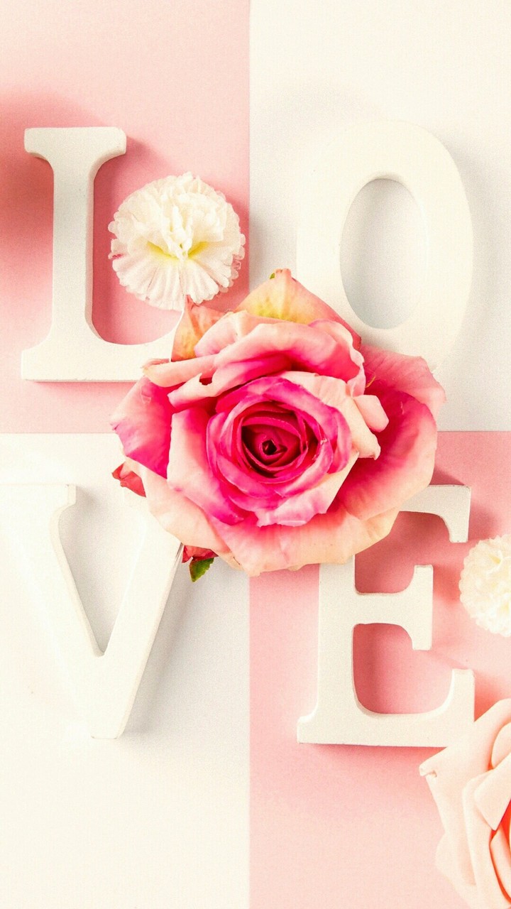 love