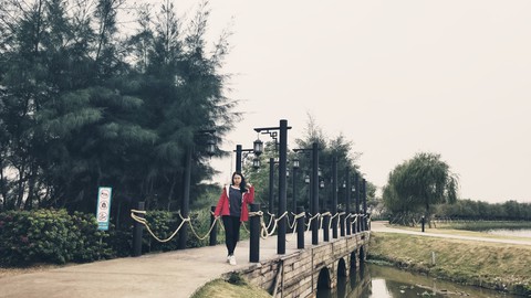 bridge