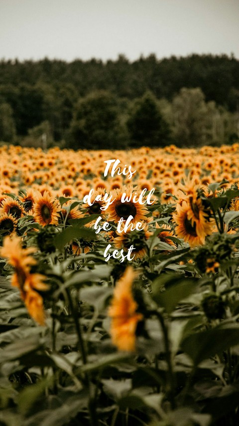 Quotes