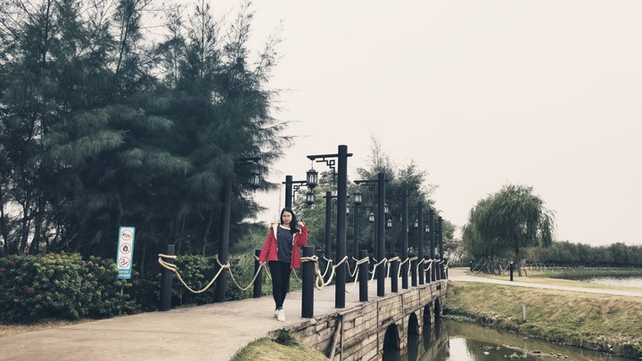 bridge
