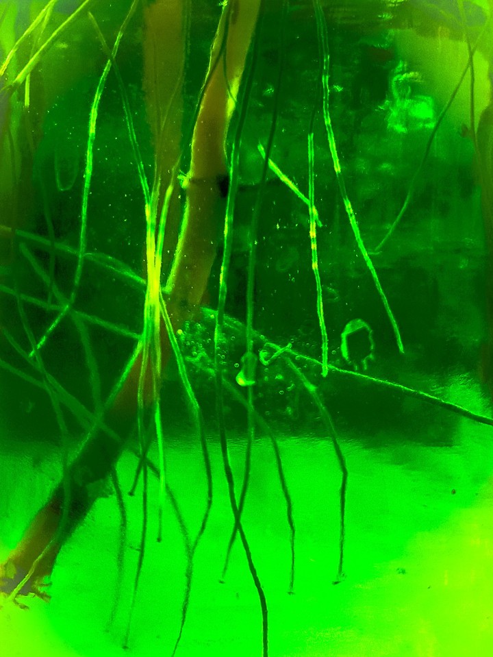 Underwater