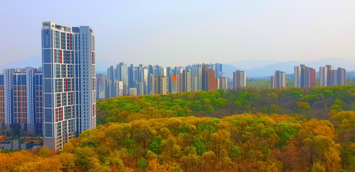 My home views