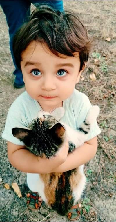 minik kedicik ve beybi