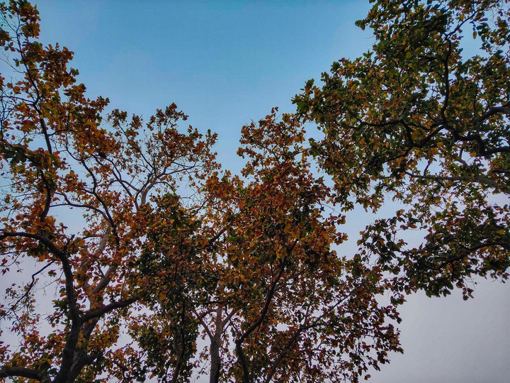 Blue sky