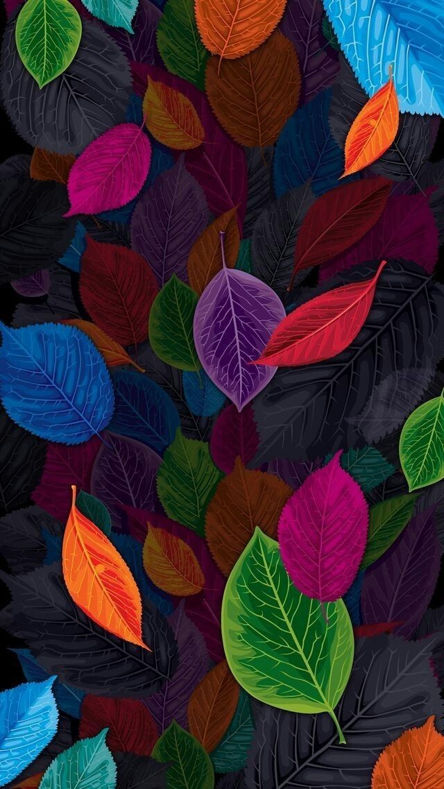 wallpaper