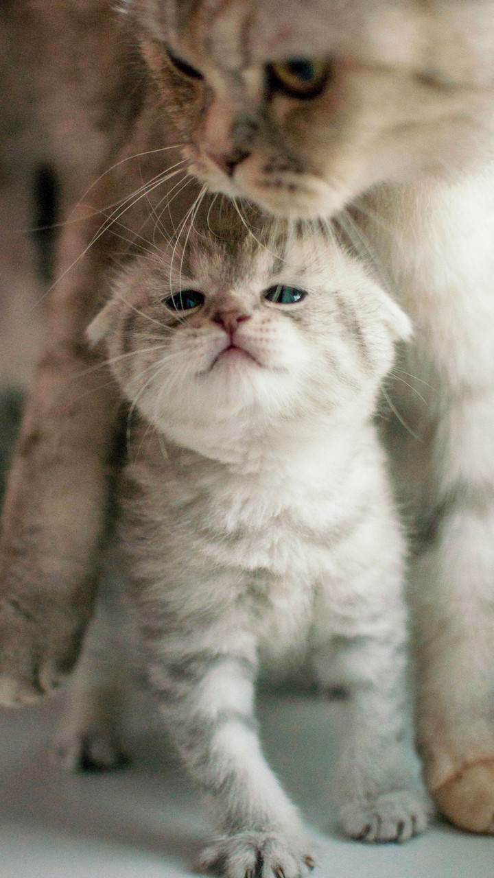 ♥