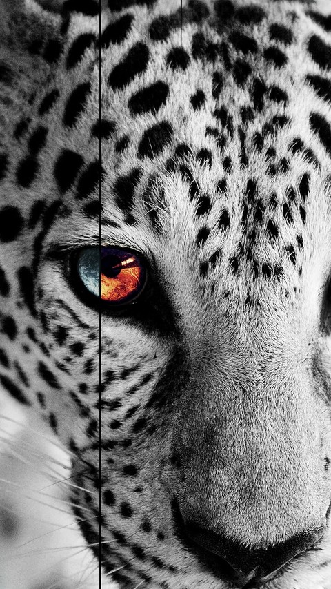 Good and bad. Fire an ice.