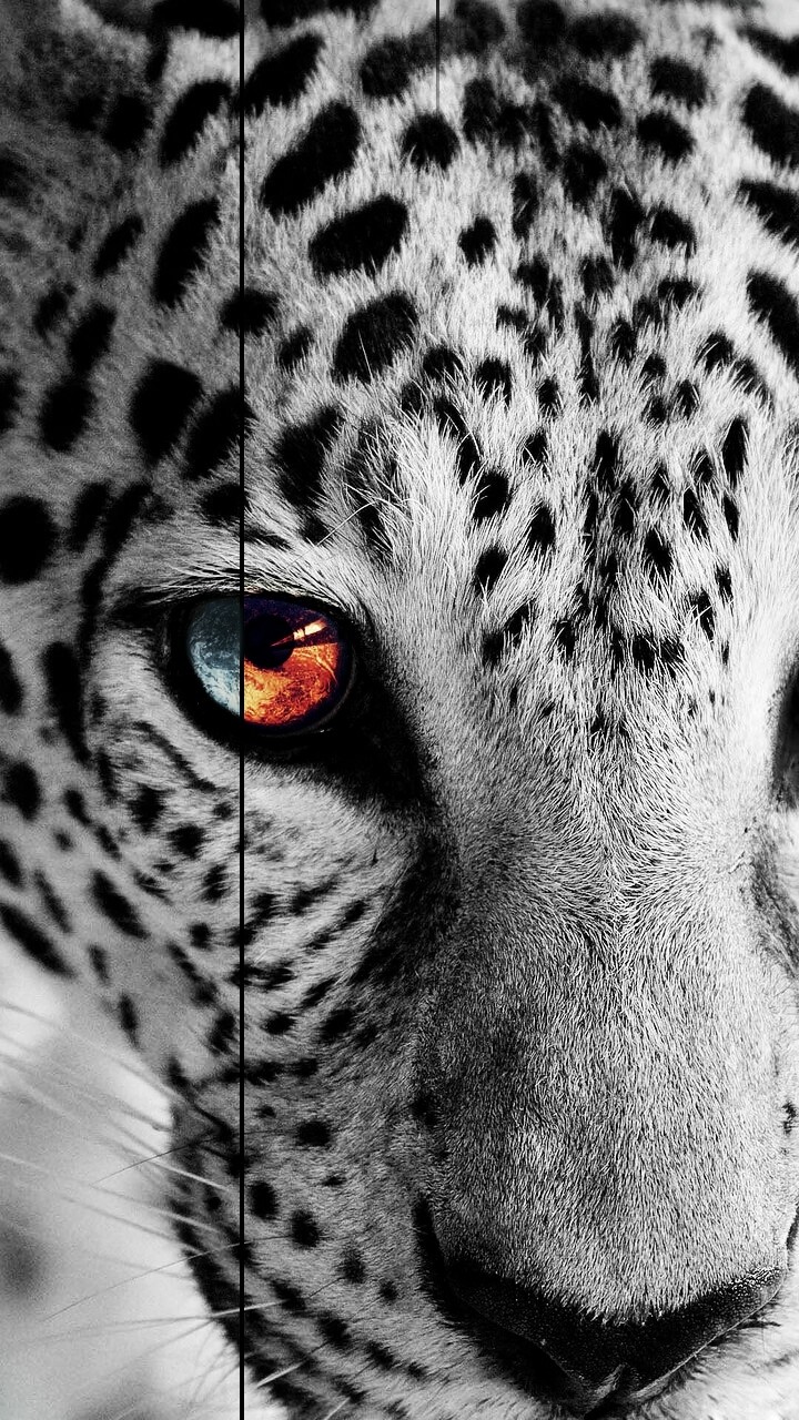 Good and bad. Fire an ice.