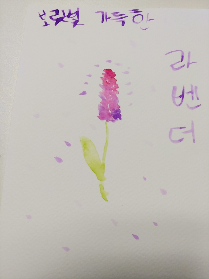 보랏빛 가득한 라벤더