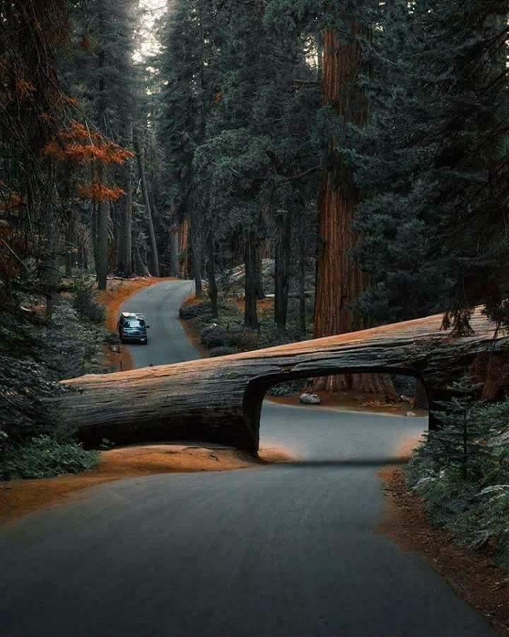 Road