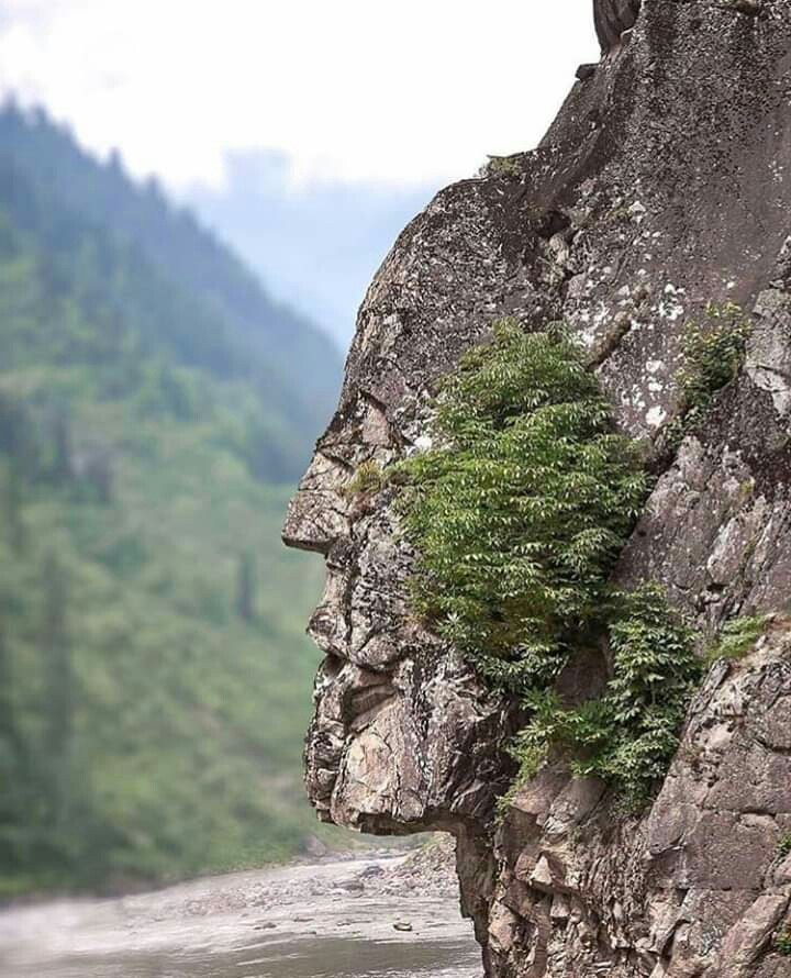 Face of Nature