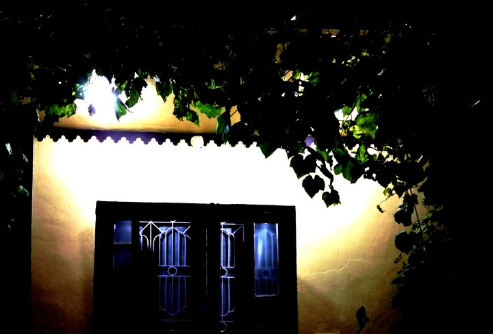 Home
