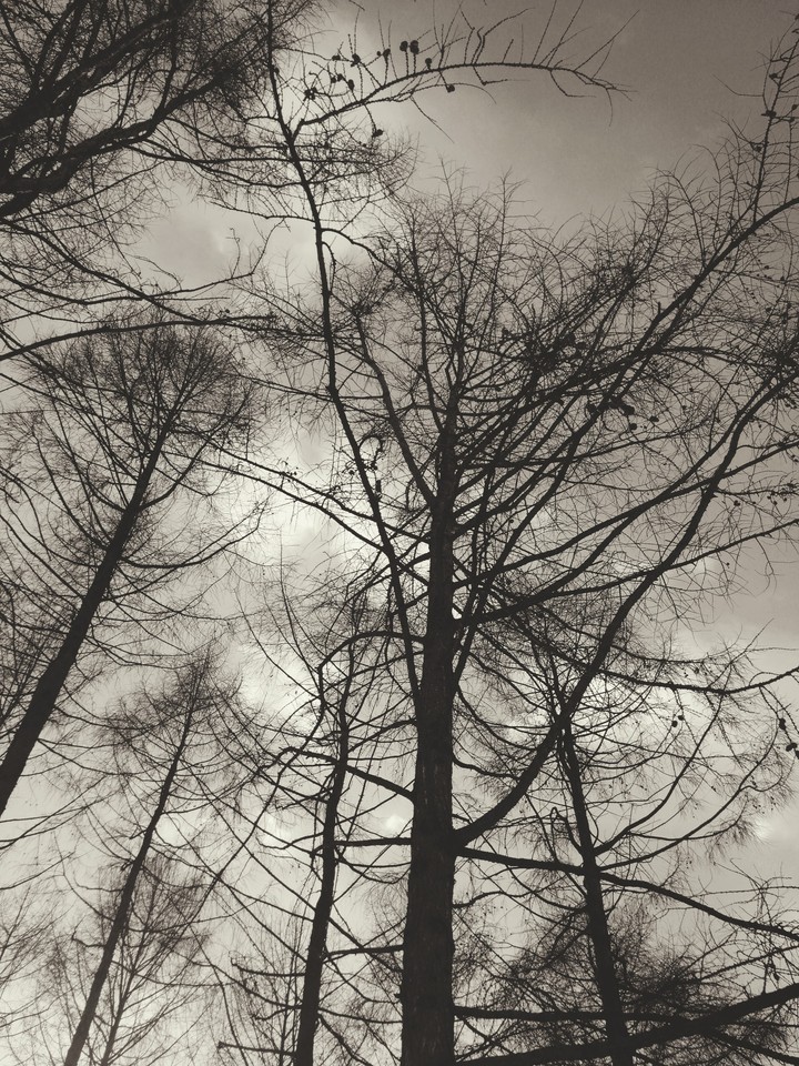Melancholy