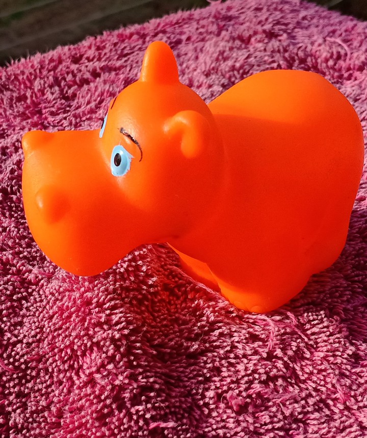 Hippo
