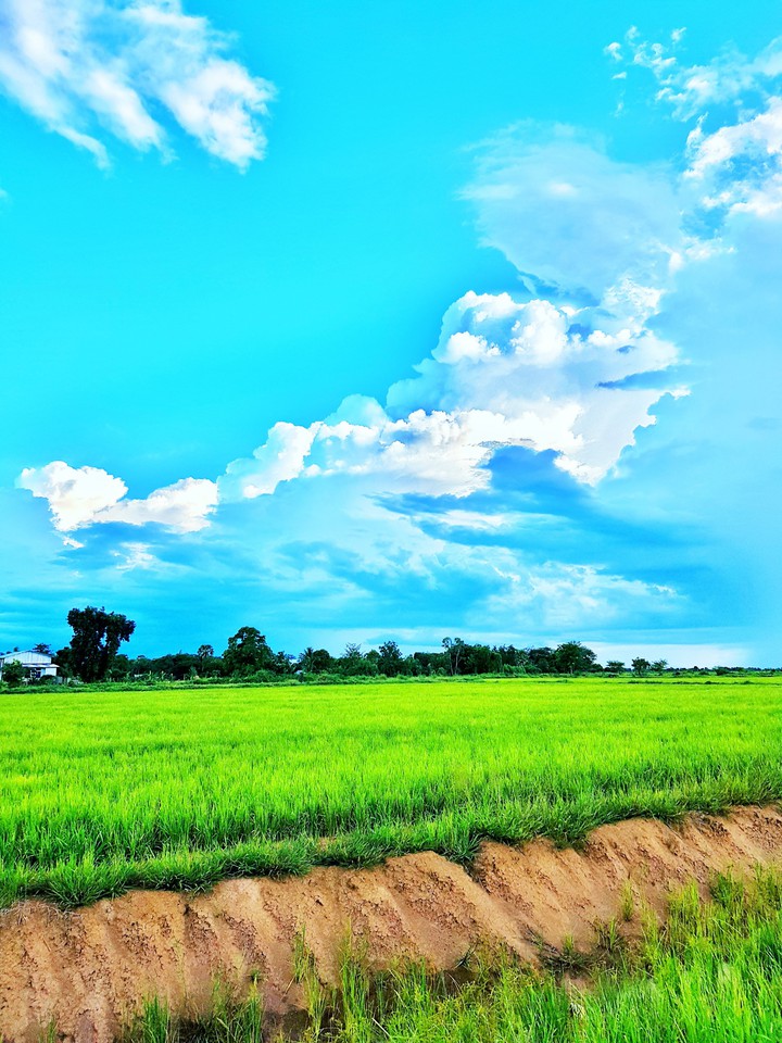 blue sky