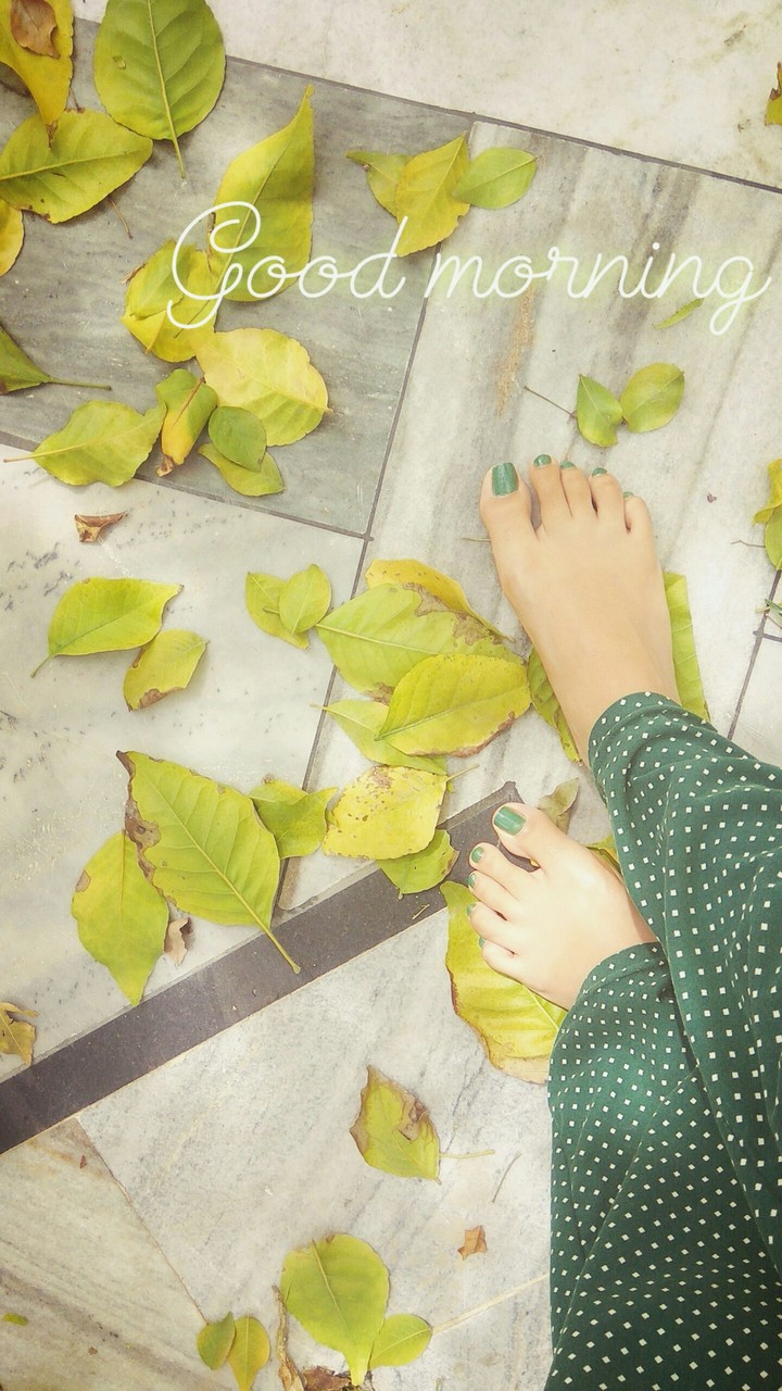 green is the color of freshness
