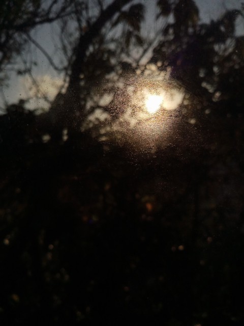 Morning Dew