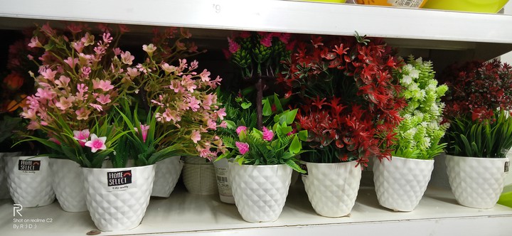 flower pot