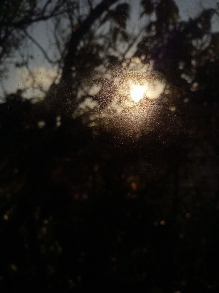 Morning Dew