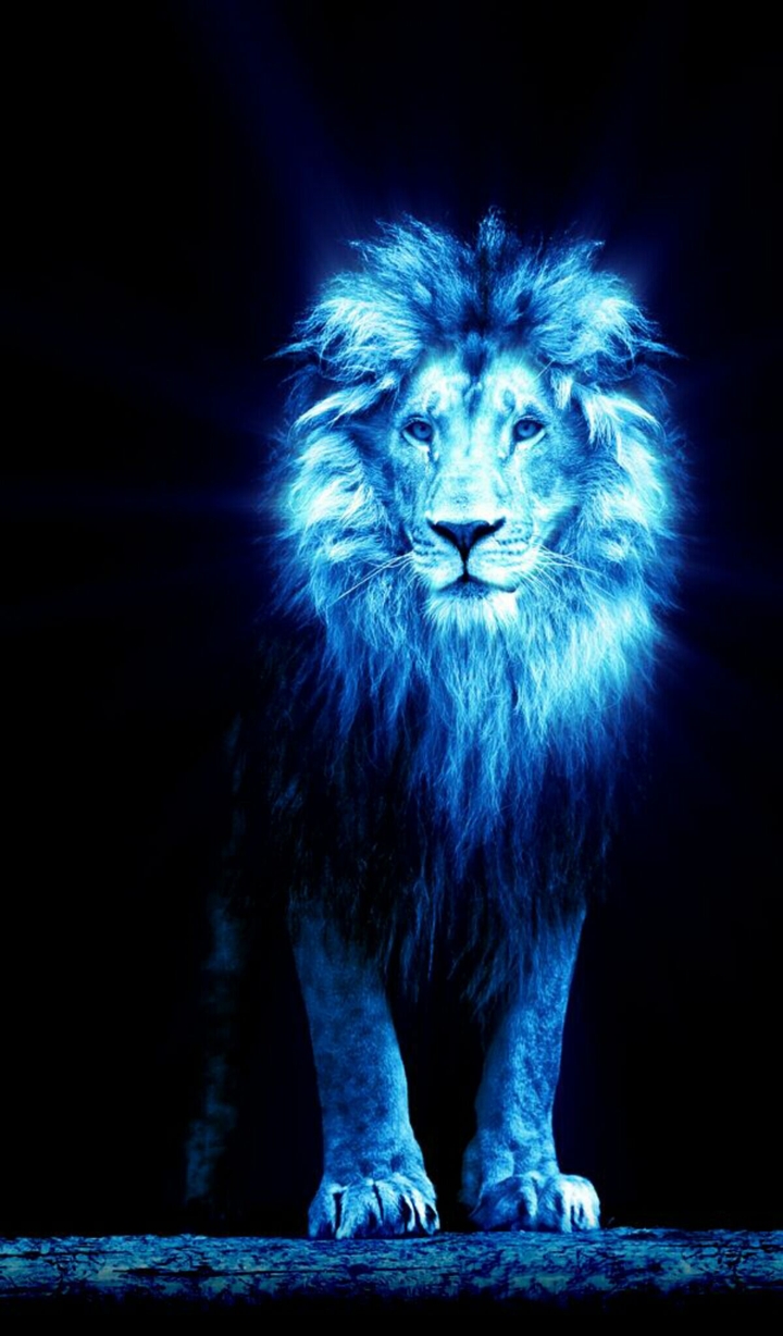 lion