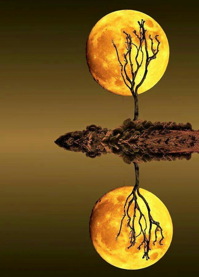 moon reflection..