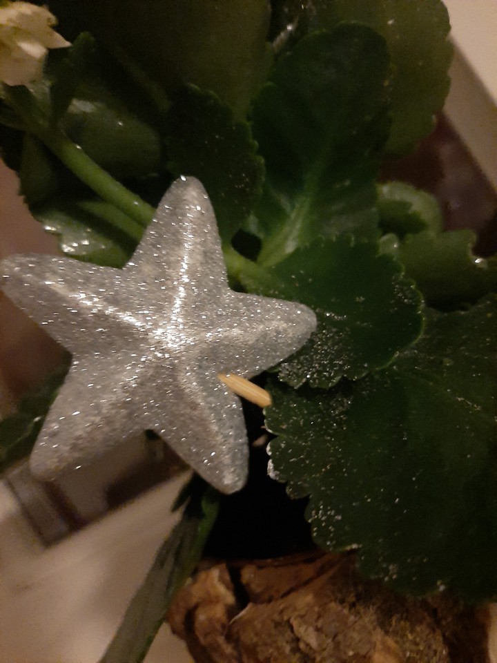 Star