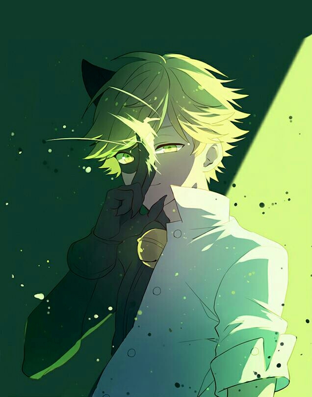 cat noir (Adrian)