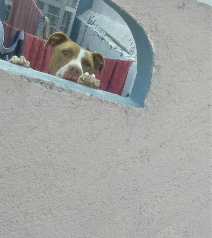 Fliquito ❤