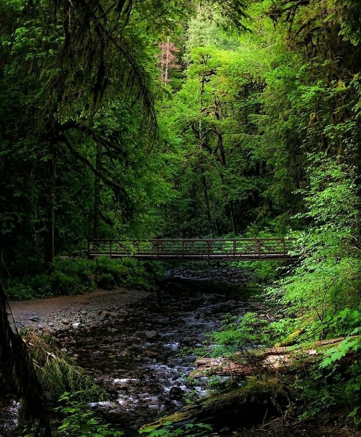 great smoky mountains National park