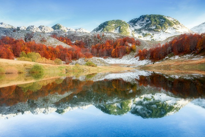 reflection