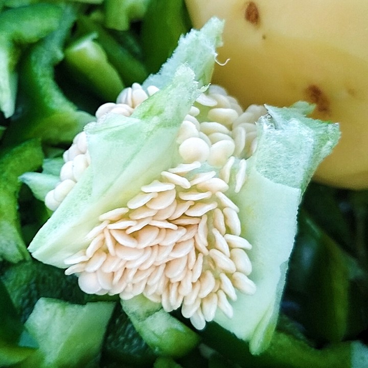 capsicum ... Seed ...
