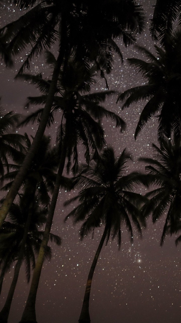 stars...