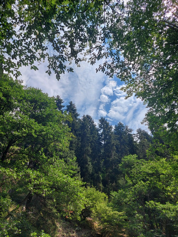 Nature of borjomi
