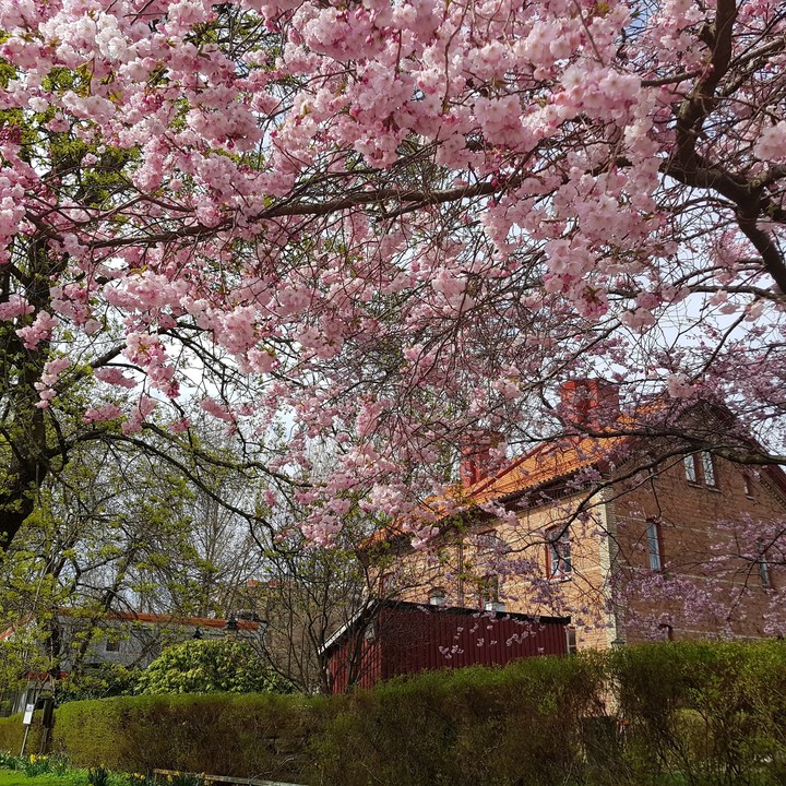 Gothenburg