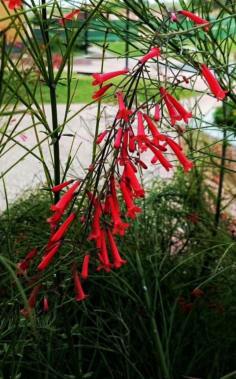 Happy to click pic