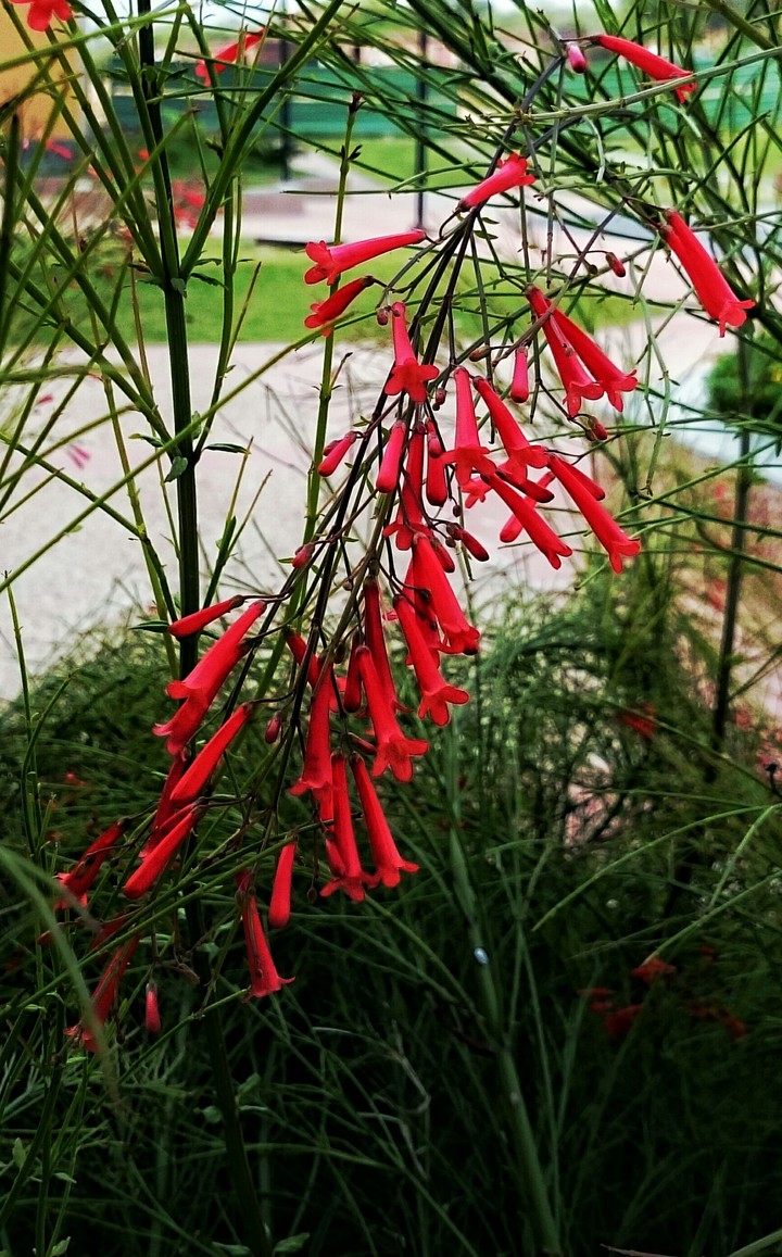 Happy to click pic