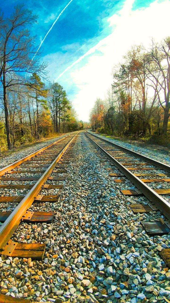 Mysterious track