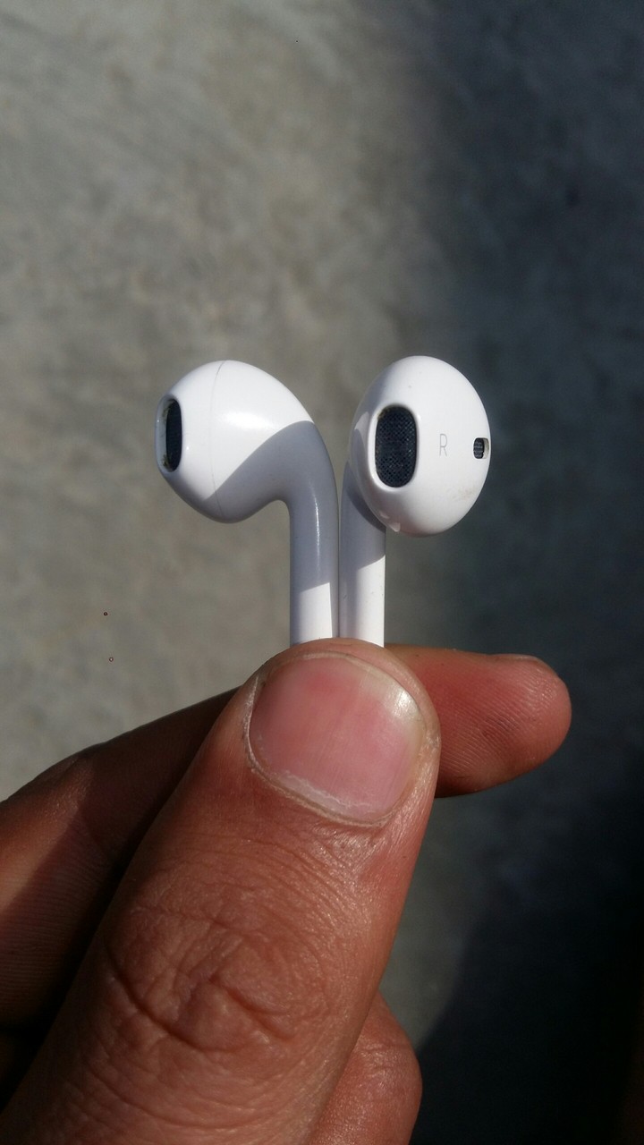 Apple Earphones