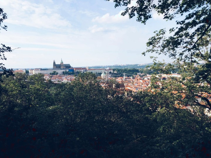 View