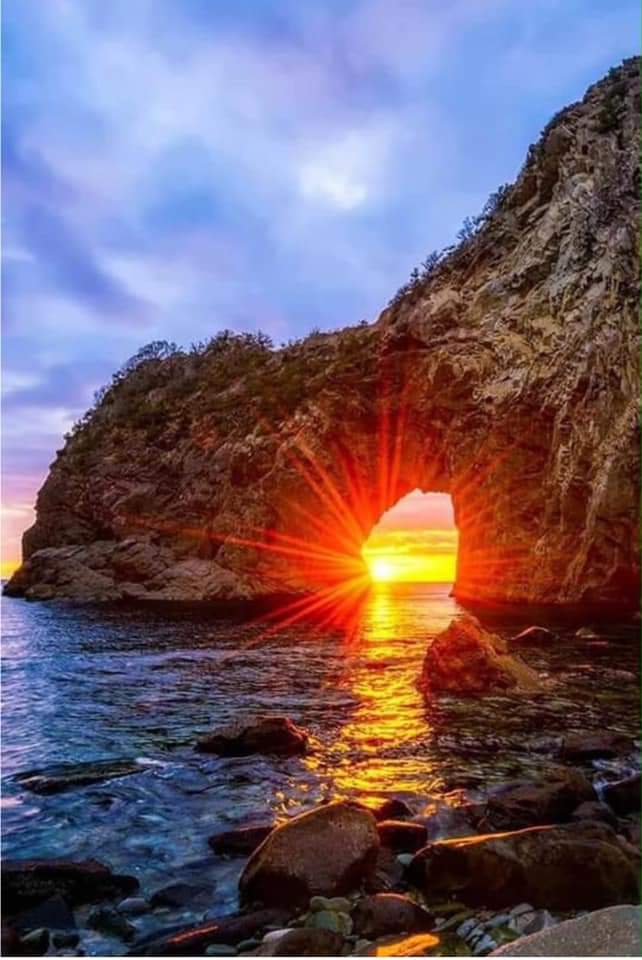 Let The Sunshine In ❤