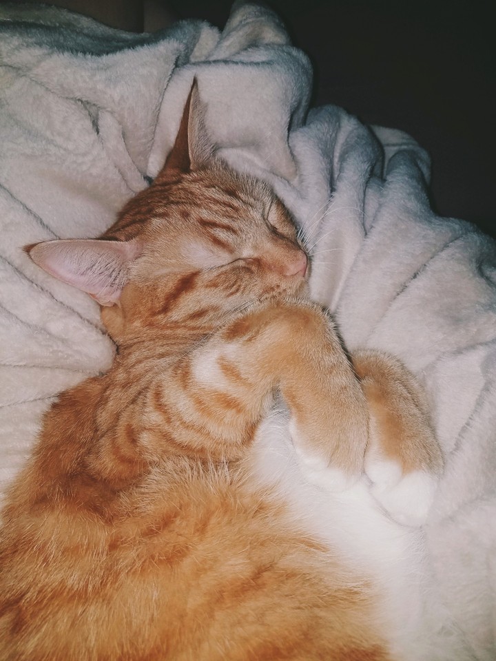 cuddling