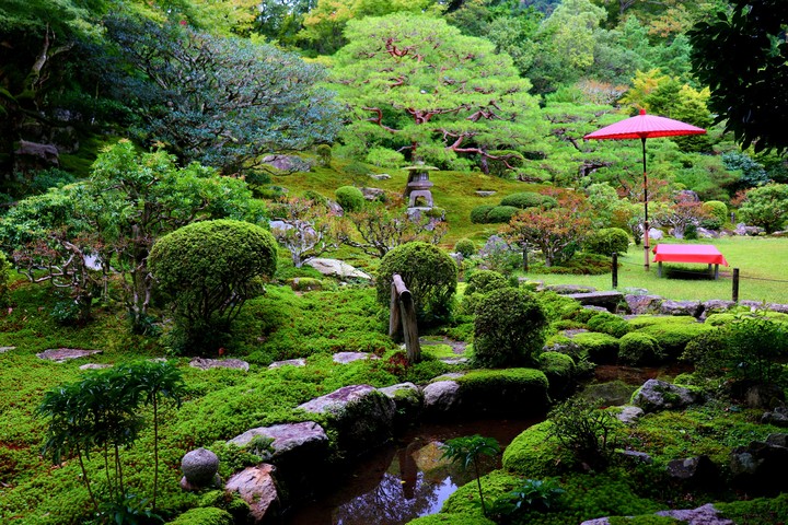 庭園