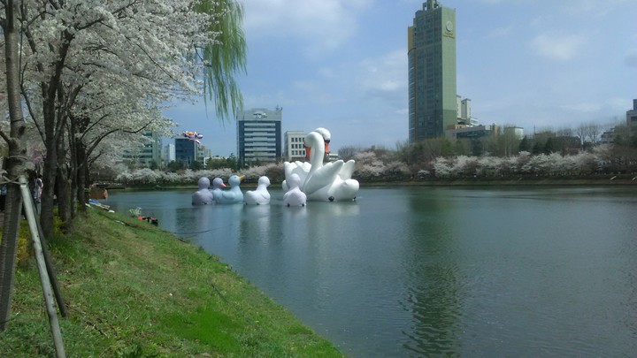 art project in lake