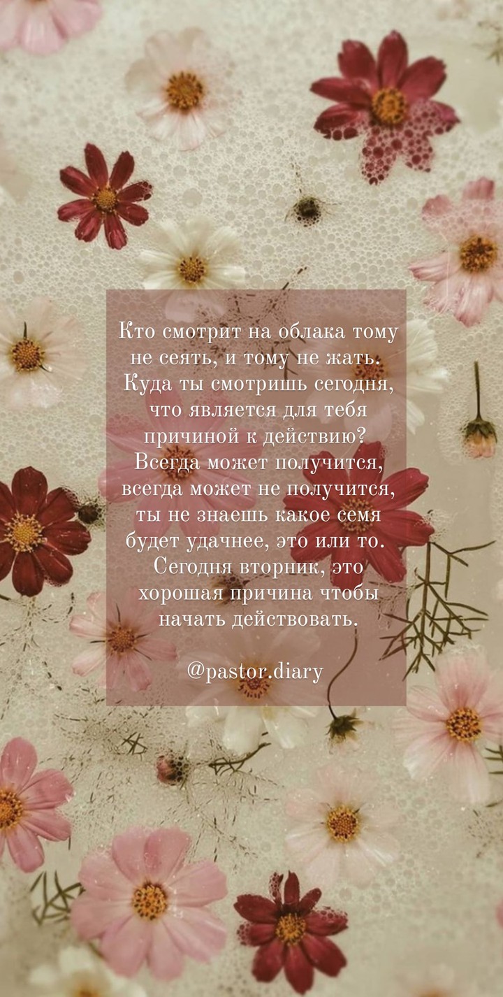 стих
