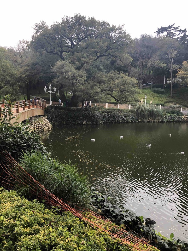 lake