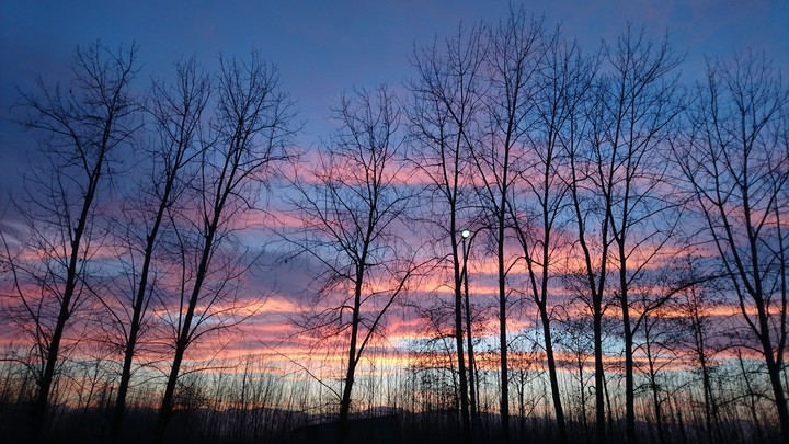 sunset