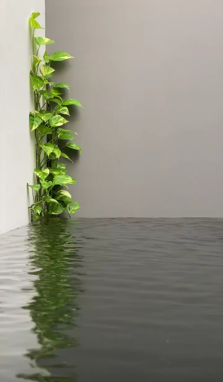 ••