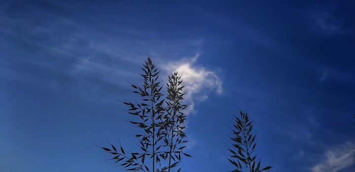 sky